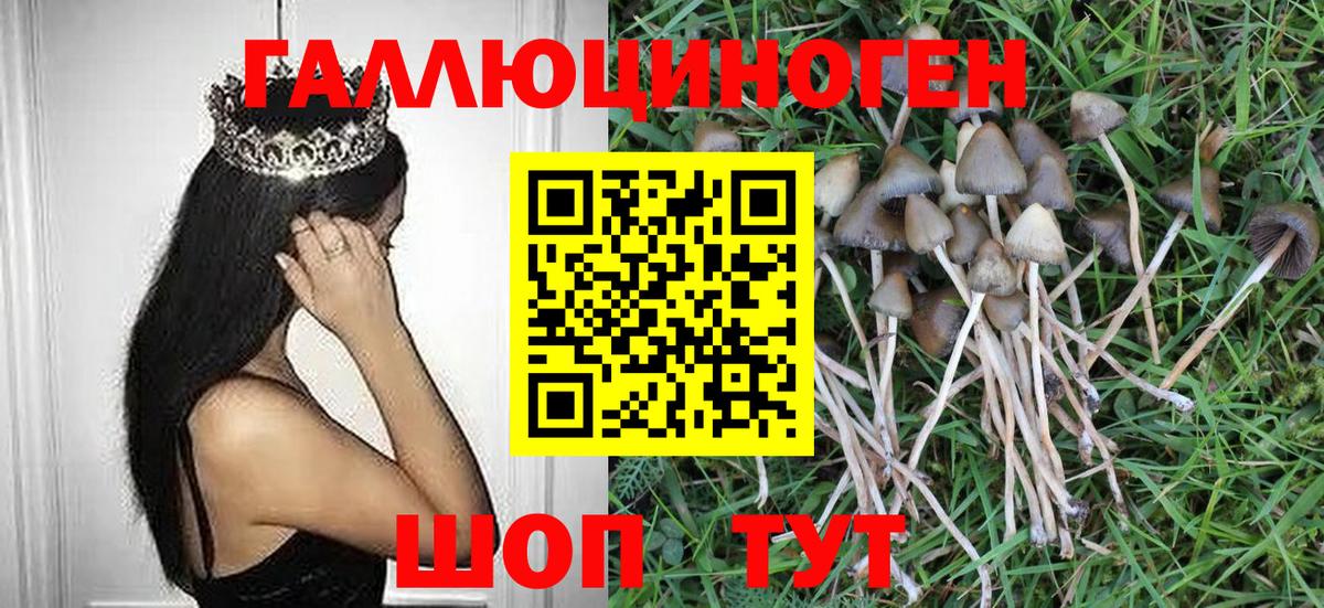 Галлюциногенные грибы MAGIC MUSHROOMS Дзержинск